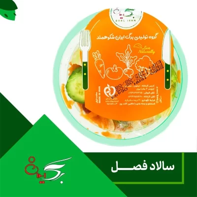 سالاد فصل 100 گرمی