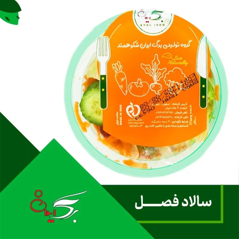 سالاد فصل 100 گرمی