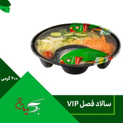 سالاد فصل 200 گرمی VIP