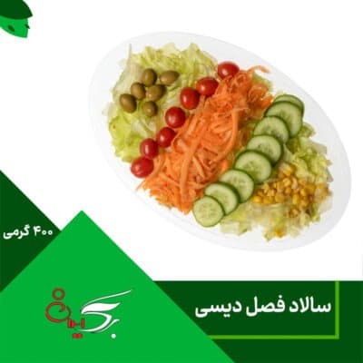 سالاد فصل دیسی 400 گرمی