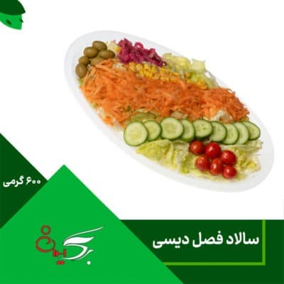 سالاد فصل دیسی 600 گرمی