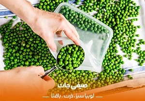 انواع صیفی جات